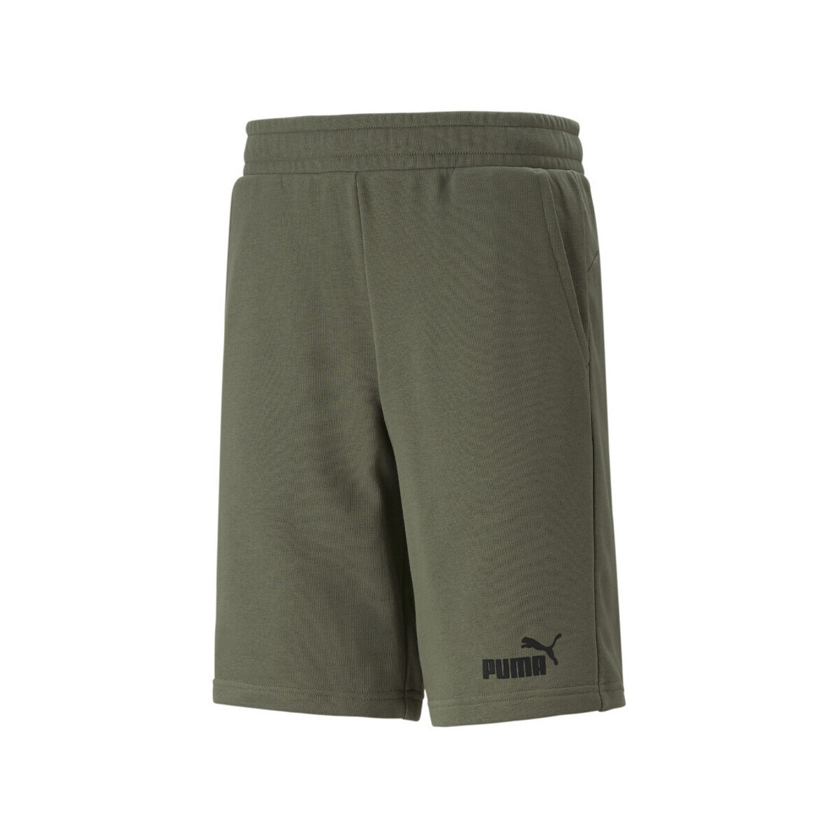 Vêtements Homme Shorts / Bermudas Puma 586710-36 Vert