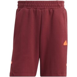 Vêtements Homme Shorts / Bermudas adidas Originals  Autres