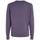 Vêtements Homme Pulls Calvin Klein Jeans K10K109474 Violet