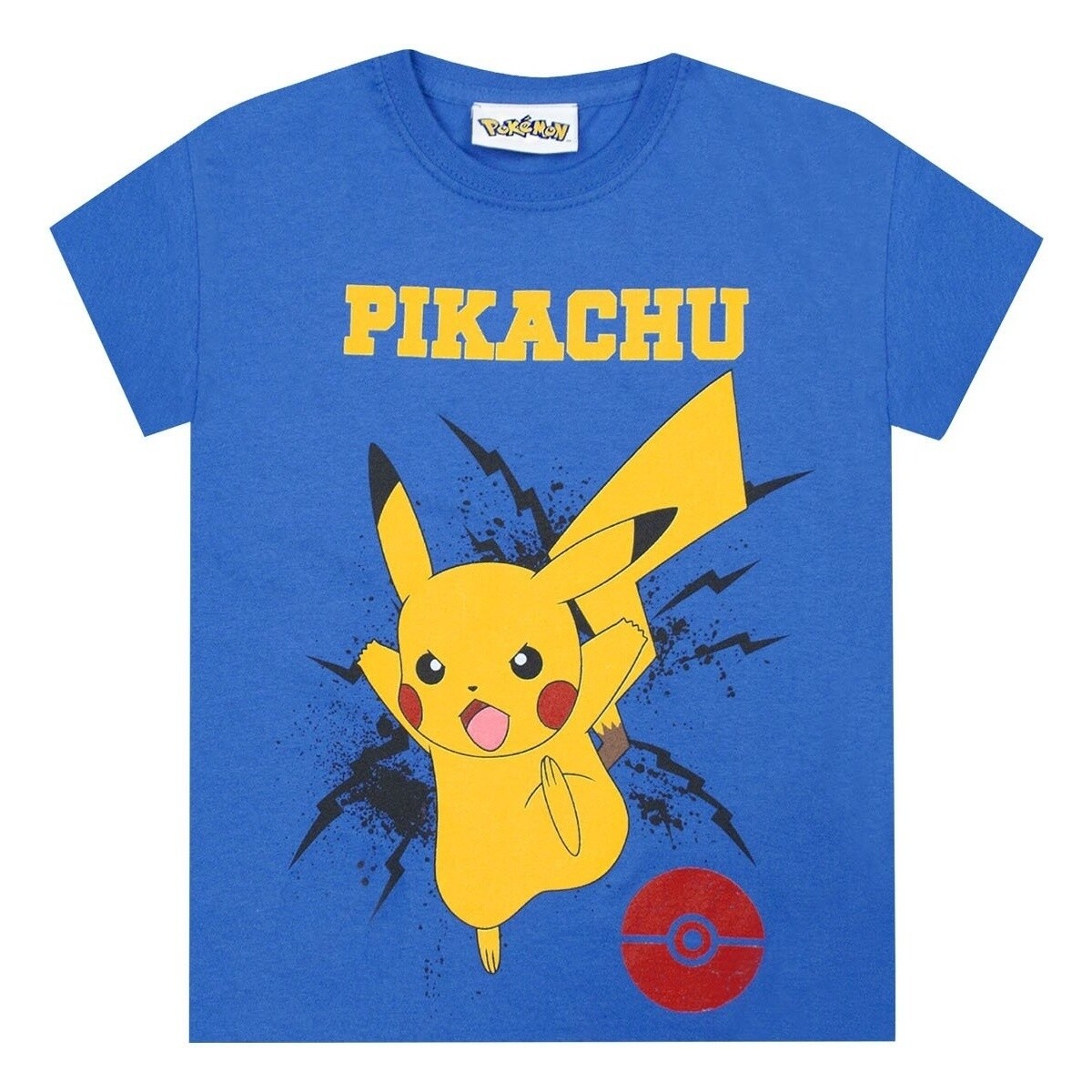 Vêtements Garçon T-shirts manches longues Pokemon NS5406 Bleu