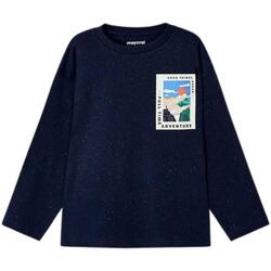 Polo Ralph Lauren Grå sweatshirt med långa ärmar med rund halsringning och björntryck