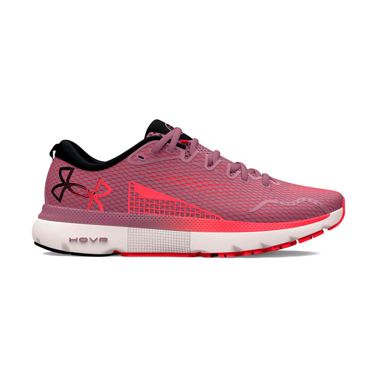Chaussures Femme Running / trail Under Armour UA W HOVR Infinite 5 Gris