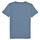 Vêtements Garçon T-shirts manches courtes Levi's BATWING TEE Bleu
