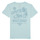 Vêtements Garçon T-shirts check-pattern manches courtes Levi's SURFING DACHSHUND TEE Multicolore / Bleu