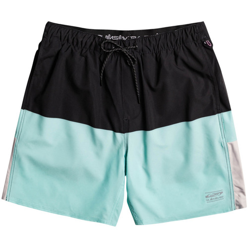 Vêtements Homme Shorts / Bermudas Quiksilver La mode responsable