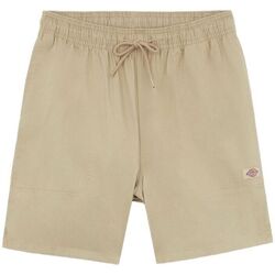 Vêtements Homme Shorts / Bermudas Dickies Shorts Pelican Rapids Homme Desert Sand Beige