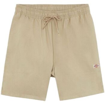 Vêtements Homme Shorts / Bermudas Dickies Shorts Pelican Rapids Homme Desert Sand Beige