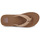 Chaussures Homme Tongs Reef THE GROUNDSWELL Marron