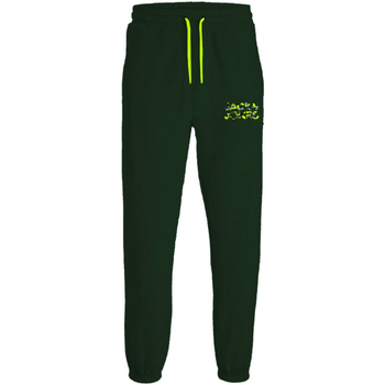 Vêtements Garçon Pantalons Jack & Jones 12237173 JPSTGORDON JJMILES SWEAT PANT JNR MOUNTAIN VIEW Vert