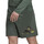 Vêtements Homme Shorts / Bermudas adidas Originals HL8809 Vert