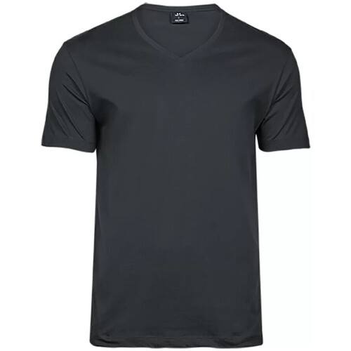 Vêtements Homme T-shirts manches longues Tee Jay TJ8006 Gris