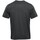 Vêtements Homme T-shirts manches courtes Stormtech TFX-2 Gris