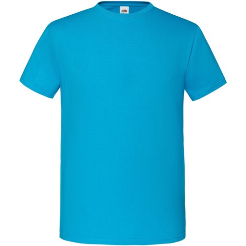 Vêtements Homme T-shirts manches longues Fruit Of The Loom Iconic Premium Multicolore