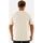 Vêtements Homme T-shirts manches courtes Dickies 0a4xdb Beige