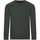 Vêtements Homme Pulls Teddy Smith Pull col rond Vert