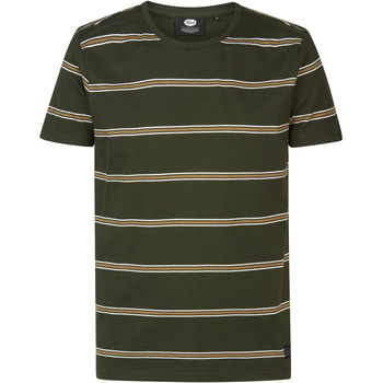 Vêtements Homme T-shirts & Polos Petrol Industries T-Shirt Rugby Vert Foncé Rayé Vert