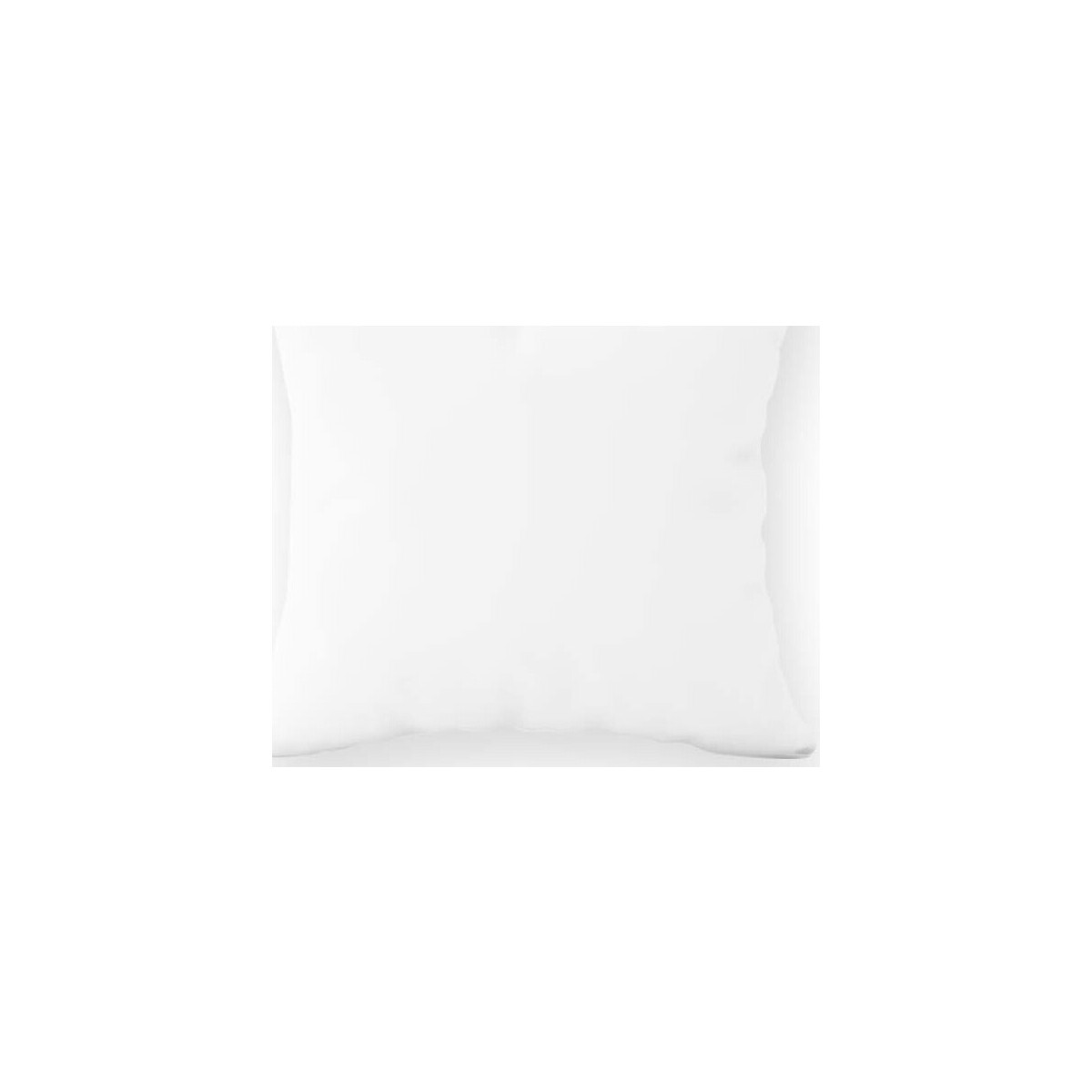 Maison & Déco Alèses / protections de lit Future Home Protège oreiller 65x65cm Blanc