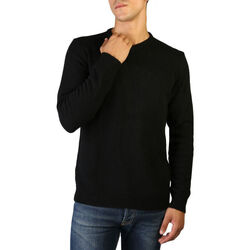 Vêtements Homme Pulls 100% Cashmere Jersey Noir