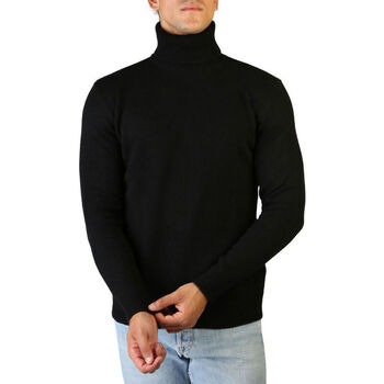 Vêtements Homme Pulls 100% Cashmere Jersey roll neck Noir