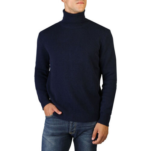 Vêtements Homme Pulls 100% Cashmere Jersey roll neck Bleu