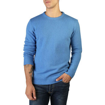 Vêtements Homme Pulls 100% Cashmere Jersey Bleu