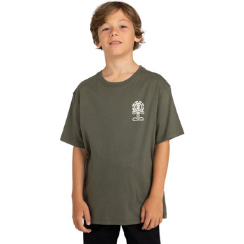 Vêtements Garçon T-shirts & Polos Element Lil Dude Vert