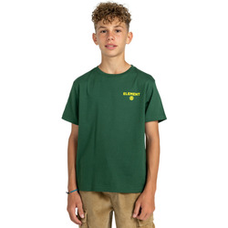 Vêtements Garçon T-shirts & Polos Element Disco Vert