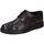Chaussures Homme Derbies & Richelieu Bruno Verri EZ82 Marron