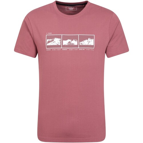Vêtements Homme T-shirts manches longues Mountain Warehouse 3 Peaks Multicolore