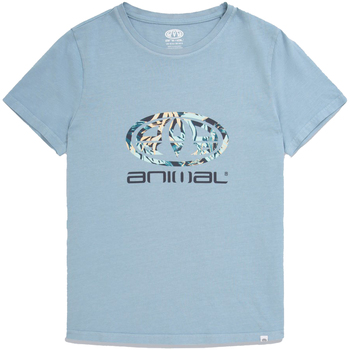 Vêtements Femme T-shirts manches longues Animal MW450 Bleu