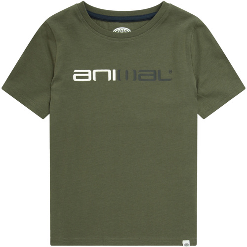 Vêtements Enfant T-shirts manches courtes Animal  Vert