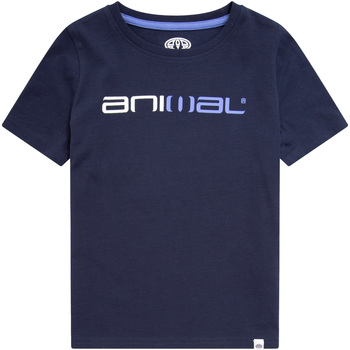 Vêtements Enfant T-shirts manches courtes Animal  Bleu