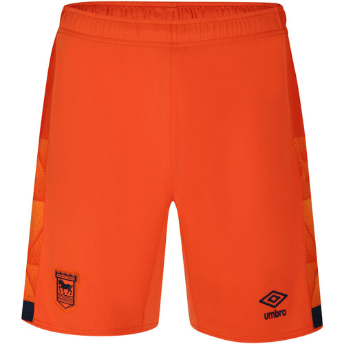 Vêtements Homme Shorts / Bermudas Umbro UO1411 Orange