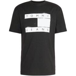 Vêtements Homme T-shirts manches courtes Tommy Hilfiger  Noir