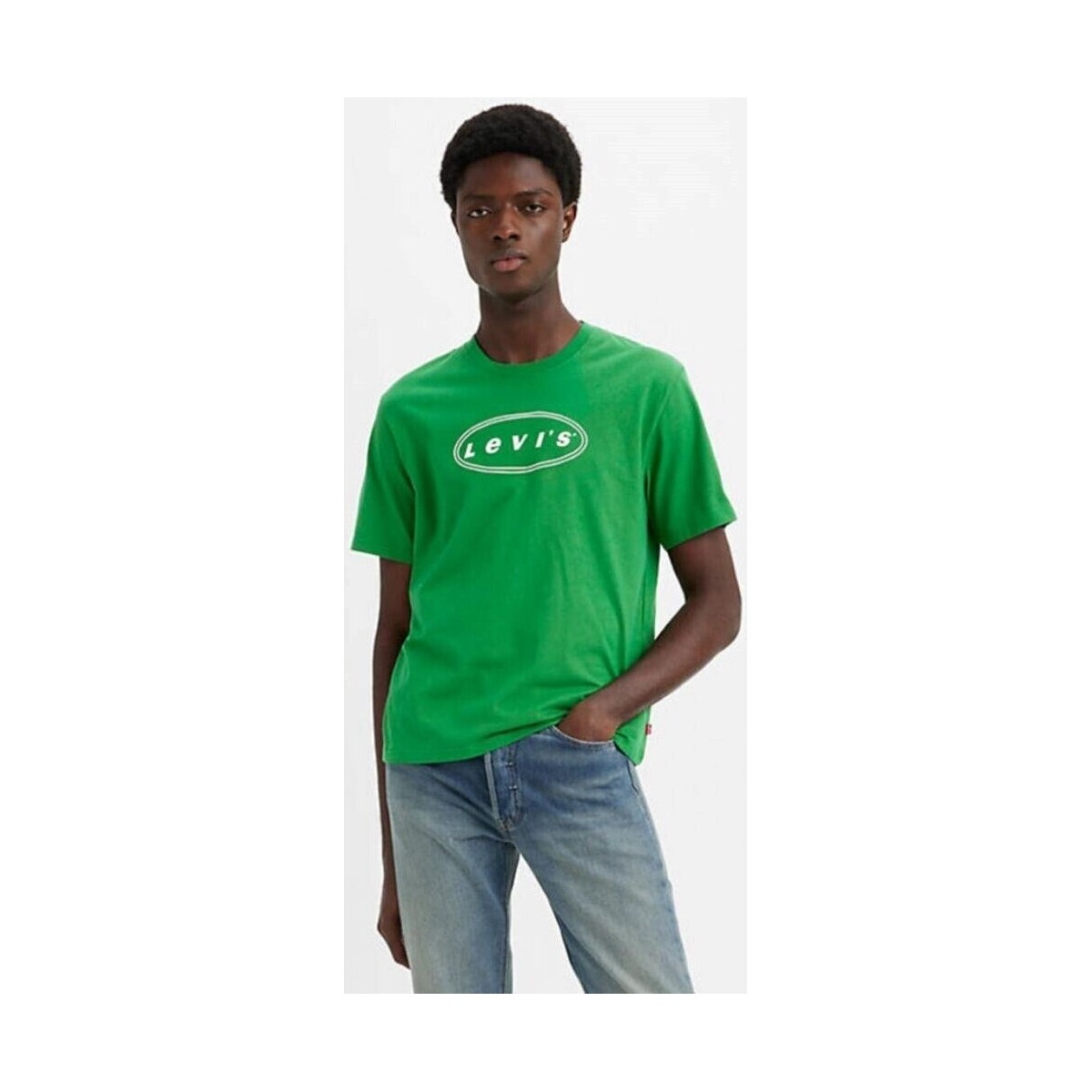 Vêtements Homme T-shirts manches courtes Levi's 16143 1059 SS RELAXED FIT TEE Vert