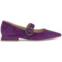 Chaussures Femme Derbies & Richelieu Calvin Klein Jea I23115 Violet