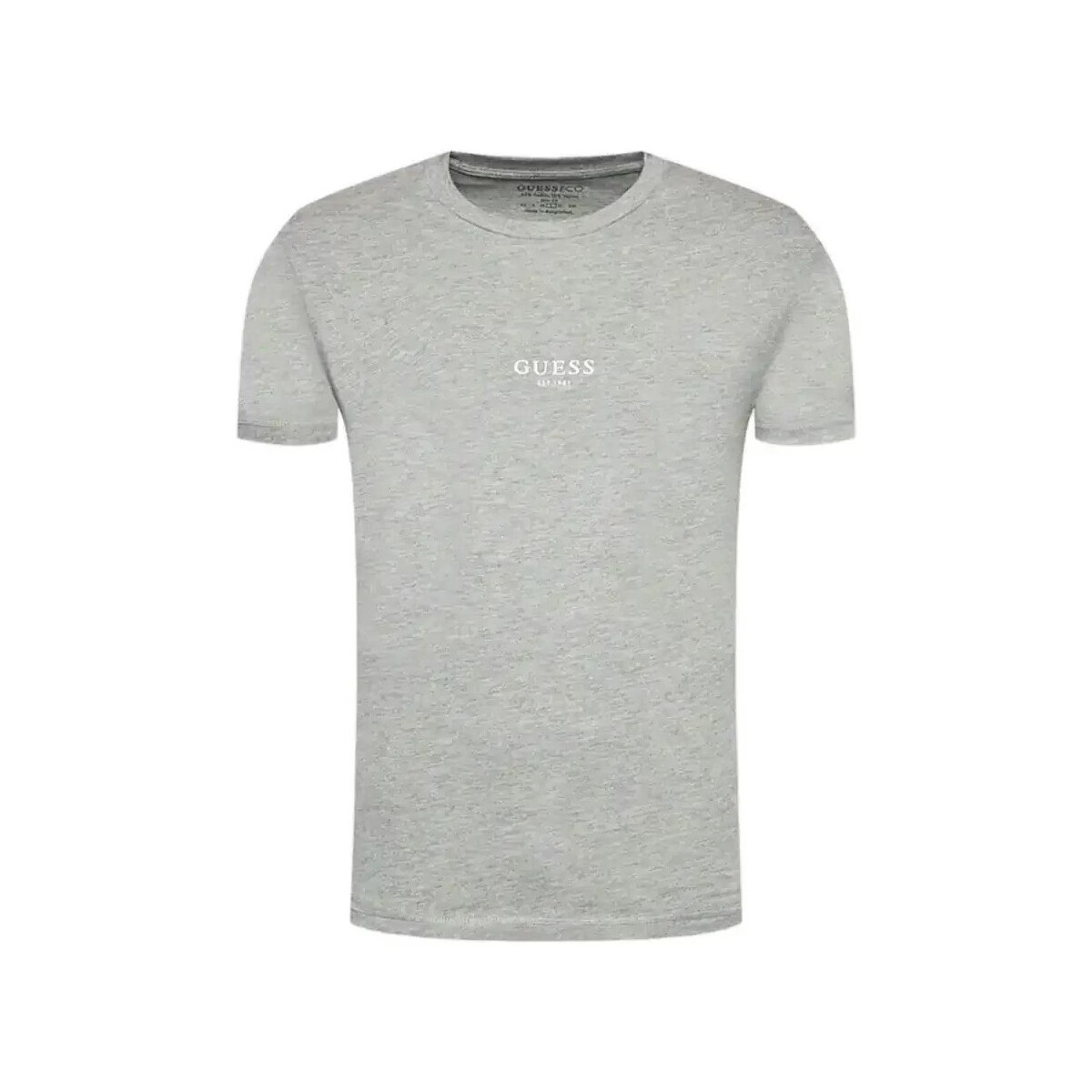 Vêtements Homme T-shirts manches courtes Guess Essential Gris