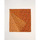 Soutiens-Gorge & Brassières Echarpes / Etoles / Foulards Vases / caches pots dintérieurkong Grand foulard rectangulaire imprimé GRIMM Orange