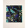 Accessoires textile Femme Echarpes / Etoles / Foulards La Fiancee Du Mekong Grand foulard rectangulaire imprimé GRIMM Bleu
