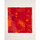 Accessoires textile Femme Echarpes / Etoles / Foulards La Fiancee Du Mekong Grand foulard rectangulaire imprimé GRIMM Rouge
