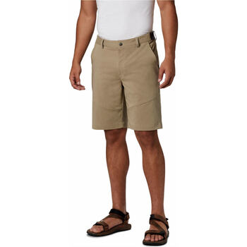 Vêtements Homme Pantalons de survêtement Columbia Tech Trail Short Marron
