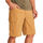 Vêtements Homme Shorts / Bermudas Marmot Arch Rock Short Orange