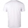 Vêtements Homme T-shirts manches courtes K-Swiss CAMISETA LOGO Blanc