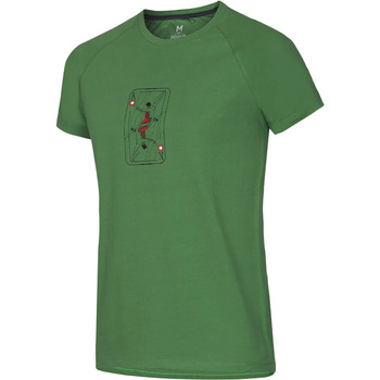 Vêtements Homme T-shirts manches courtes Ocun RAGLAN T MEN Vert