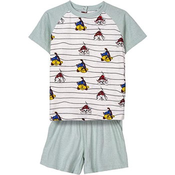 Vêtements Enfant Pyjamas / Chemises de nuit Dessins Animés 2900001166 Vert