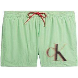 Vêtements Homme Shorts / Bermudas Calvin Klein Jeans KM0KM00801 Vert