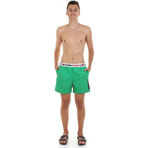 Vêtements Homme Shorts / Bermudas Tommy Archive Hilfiger UM0UM02490 Vert