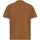 Vêtements Homme T-shirts manches courtes slides Tommy Jeans  Marron