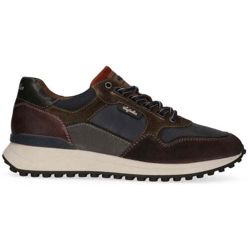 Chaussures Homme Baskets mode Australian Oxford Multicolore