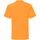Vêtements Enfant T-shirts manches courtes Fruit Of The Loom Iconic Orange